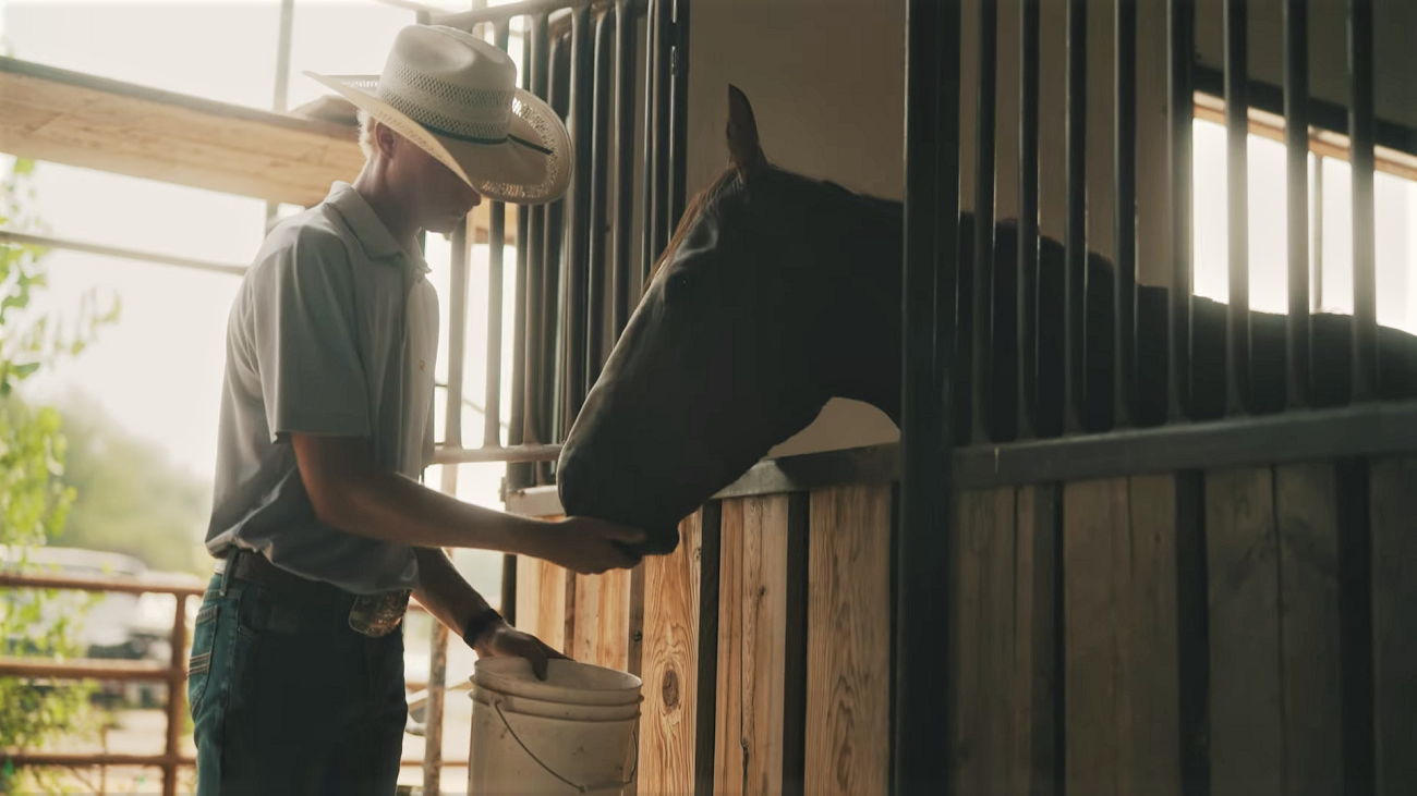 How Much Salt to Feed Horses to Prevent Overconsumption and Deficiency